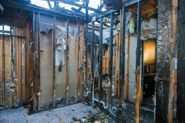 Professional Fire Damage Assessment technician working in Bock, MN