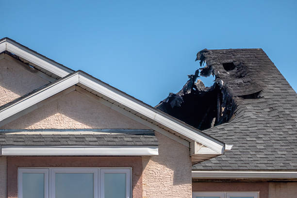 Top rated local Fire Damage Assessment specialists in Bock, MN